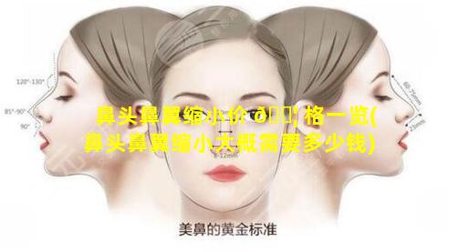 鼻头鼻翼缩小价 🐦 格一览(鼻头鼻翼缩小大概需要多少钱)